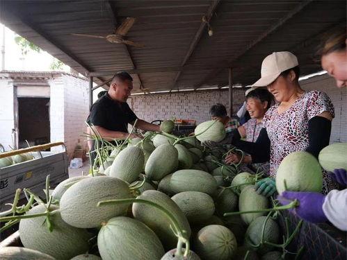 瓜要去哪里吃,瓜要去哪里吃？