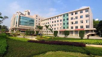 广西河池学院吃瓜,揭秘校园生活趣味瞬间