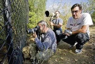 狗仔在线吃瓜,揭秘娱乐圈幕后真相