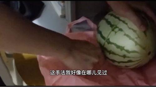 带你吃瓜越看越搞笑,越看越搞笑的趣味盘点