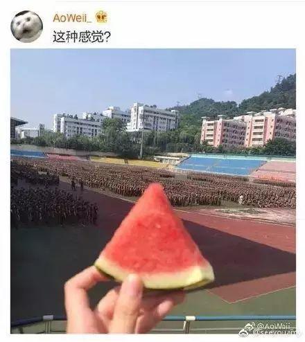 军训追吃瓜学长,学长追瓜背后的浪漫故事