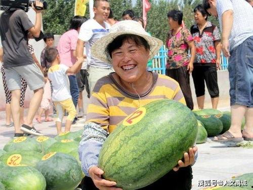 任县辛店吃瓜,夏日炎炎，吃瓜群众欢乐多