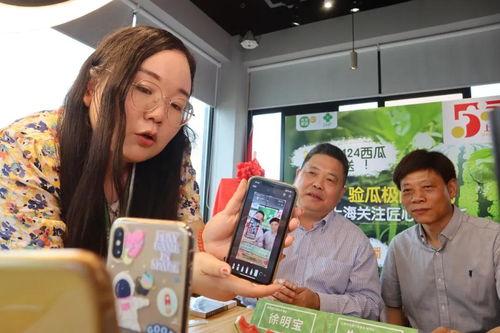 300万吃瓜直播,一场吃瓜直播的狂欢盛宴