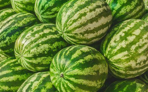 在哪找吃瓜视频号,热门视频号带你畅享美食盛宴