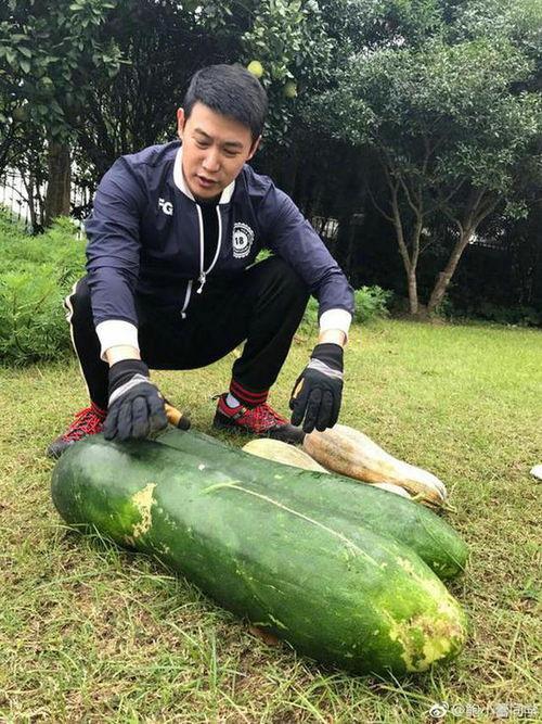 桑植新娘吃瓜照片,传统婚俗与现代生活的完美融合