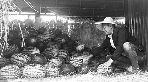 马坊吃瓜群众,揭秘街头巷尾的热议焦点