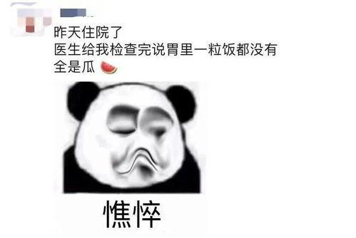 大哥在家吃瓜,品瓜论事，乐享悠哉时光