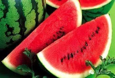 吃瓜会长一西瓜,一瓜长成西瓜的奇幻之旅