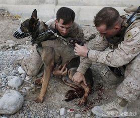 骑着毛驴吃瓜,一场别开生面的吃瓜之旅