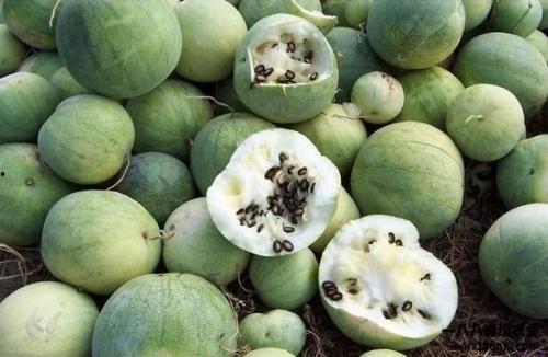 满世界吃瓜,揭秘娱乐圈的甜蜜与苦涩