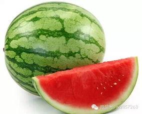 夏天吃五瓜,夏日五瓜养生攻略