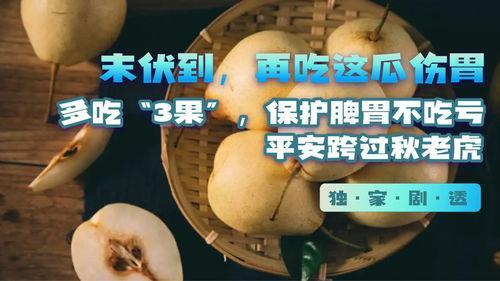 吃瓜伤肠胃,揭秘吃瓜伤肠胃的真相与预防措施