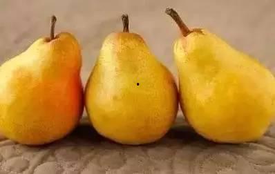 吃瓜蜜声控,吃瓜蜜的狂欢盛宴