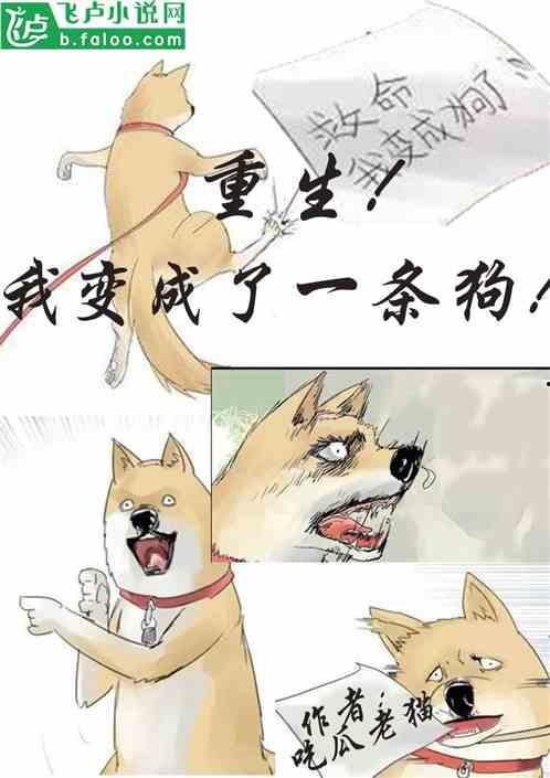 吃瓜朝廷小说在线阅读,宫廷秘闻，权谋风云，在线阅读揭秘