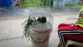 循环吃瓜小孩儿,揭秘那些年我们一起追的“瓜”