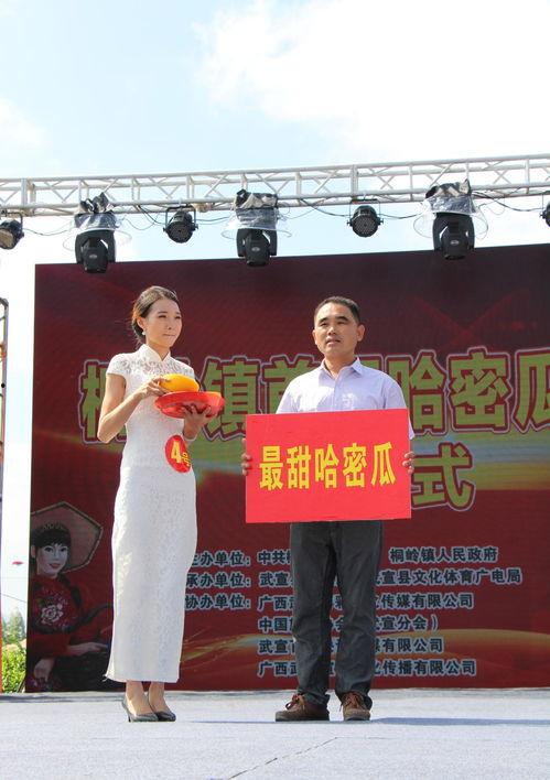 吃瓜观众来袭图片,一场视觉盛宴的图片解析