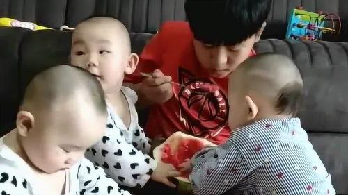 弟妹吃的小瓜,弟妹的小瓜美食之旅